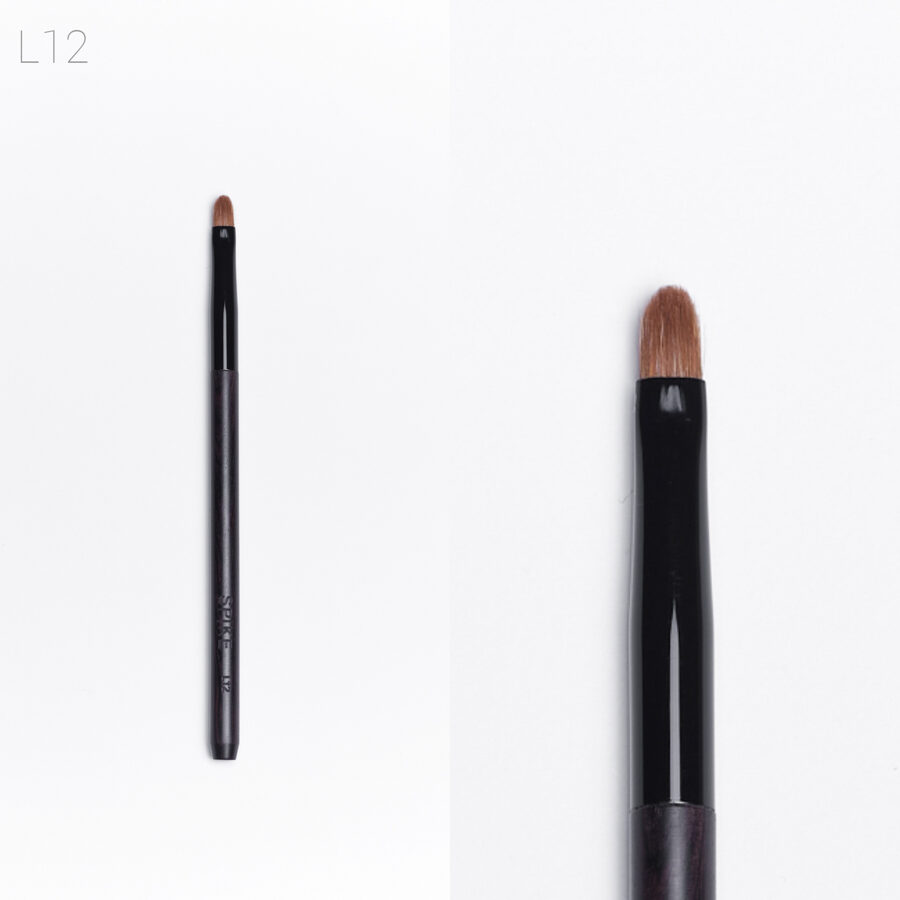 Spike Lux 10 brush set